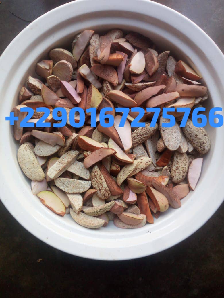 Soutien Spirituel à la Prière et à la Parole