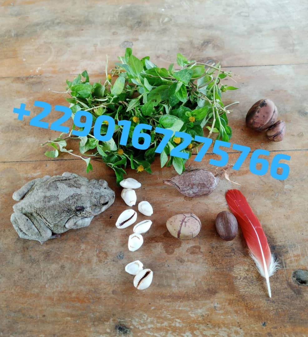 Déblocage Financier & Attraction d’Opportunités