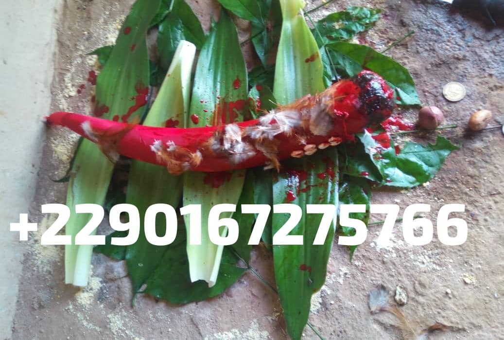 Travaux de Justice & Vérité